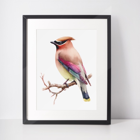 Watercolor Cedar Waxwing Bird Portrait Wall Art Print, Unframed - Vibrant Nature - Picture 3 of 7